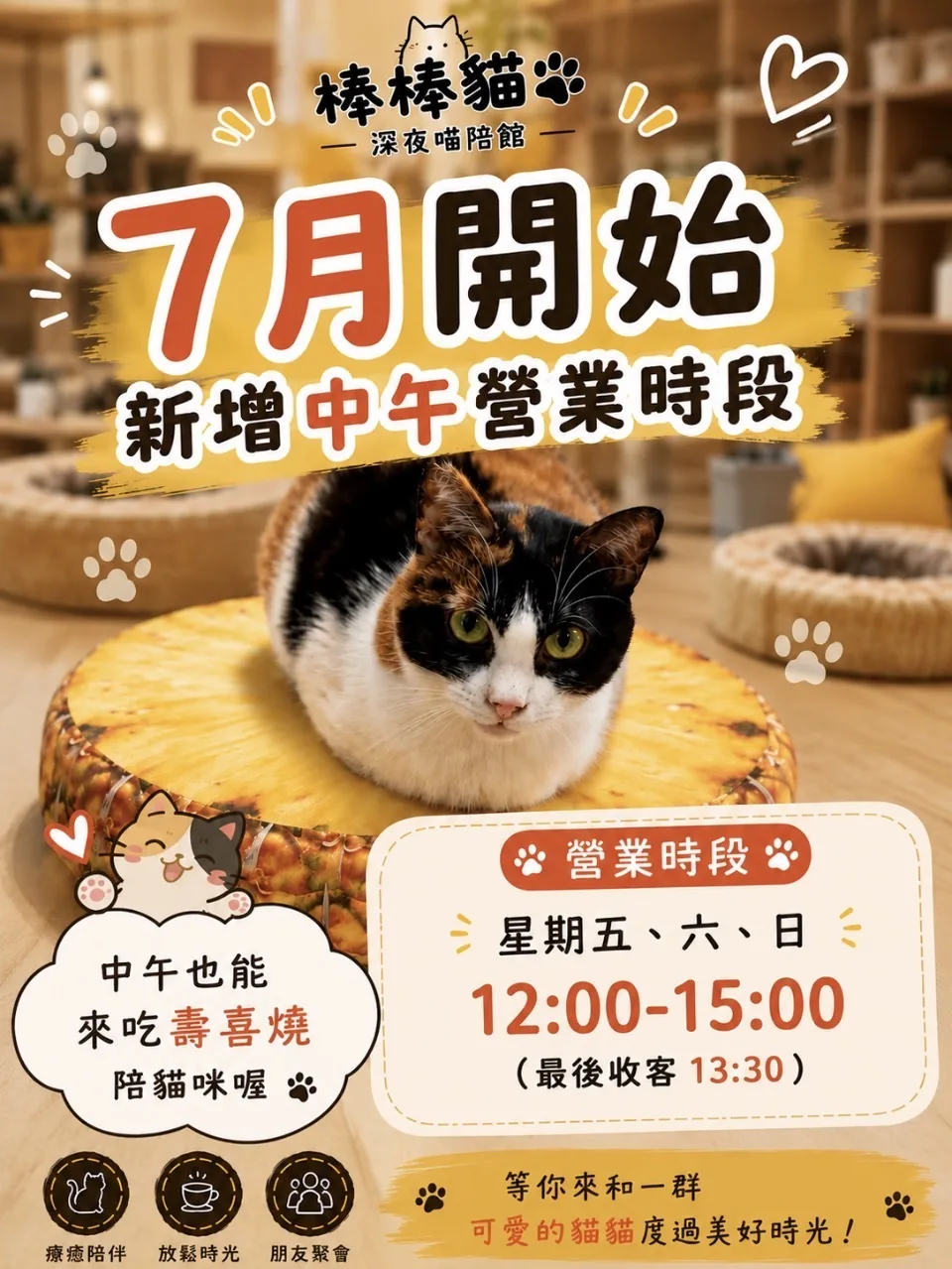 棒棒貓7月開始新增中午營業時段：星期五、六、日12:00-15:00（最後收客13:30），中午也能來吃壽喜燒陪貓咪！