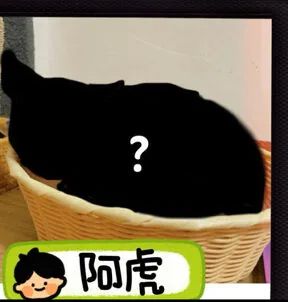 棒棒貓店貓：阿虎